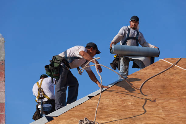 Best New Roof Installation  in Selmer, TN