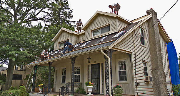 Best Roof Leak Repair  in Selmer, TN